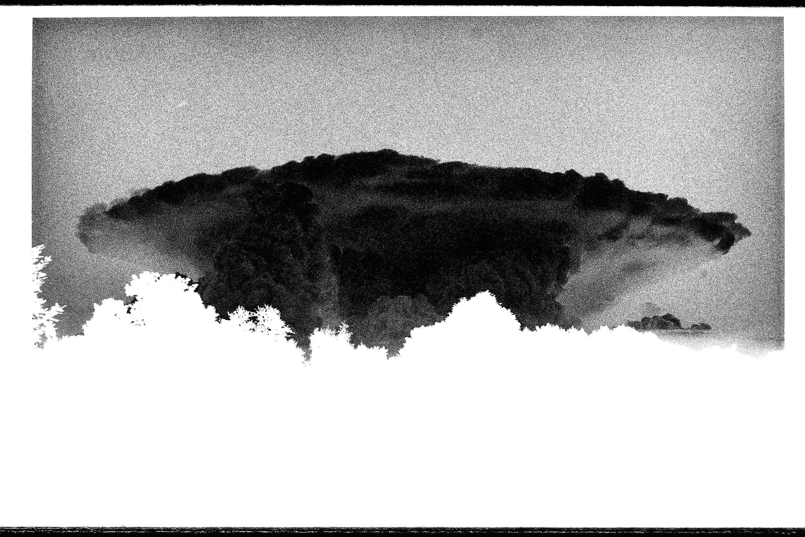 A dark cloud over a treeline, printed as a negative so the trees are white.