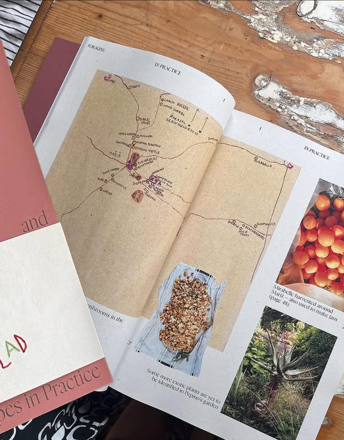 An open book on a wooden table showing a hand drawn map with foraged plants marked, next to photographs of mirabelles and a garden.