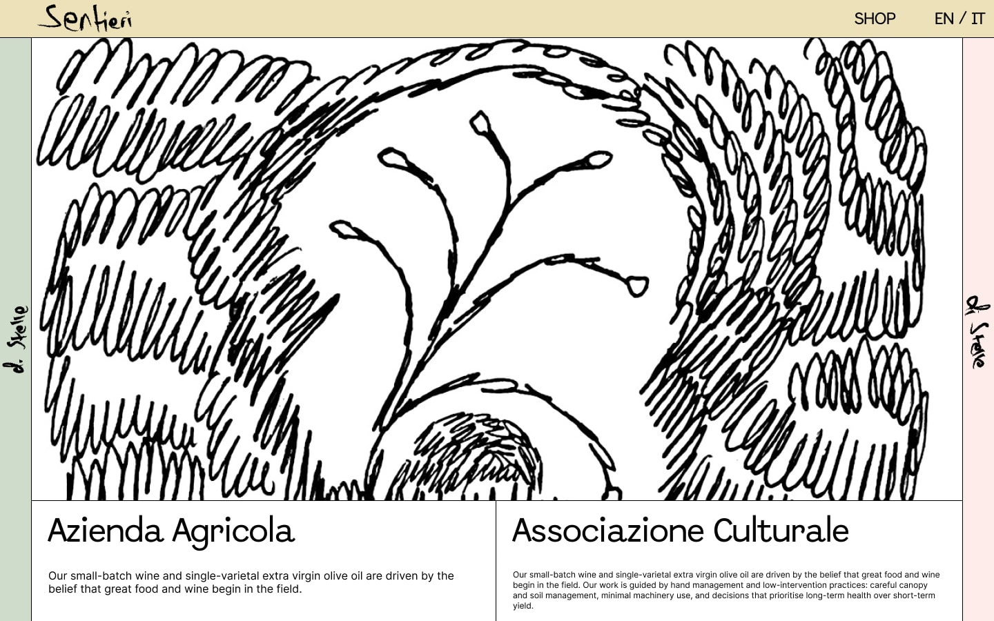 The second draft of the landing page. The same cream header and coloured side bars, and a bold black brush drawing of a plant with looping strokes filling the page. Below it two white boxes titled Azienda Agricola and Associazione Culturale, each with a line of text.