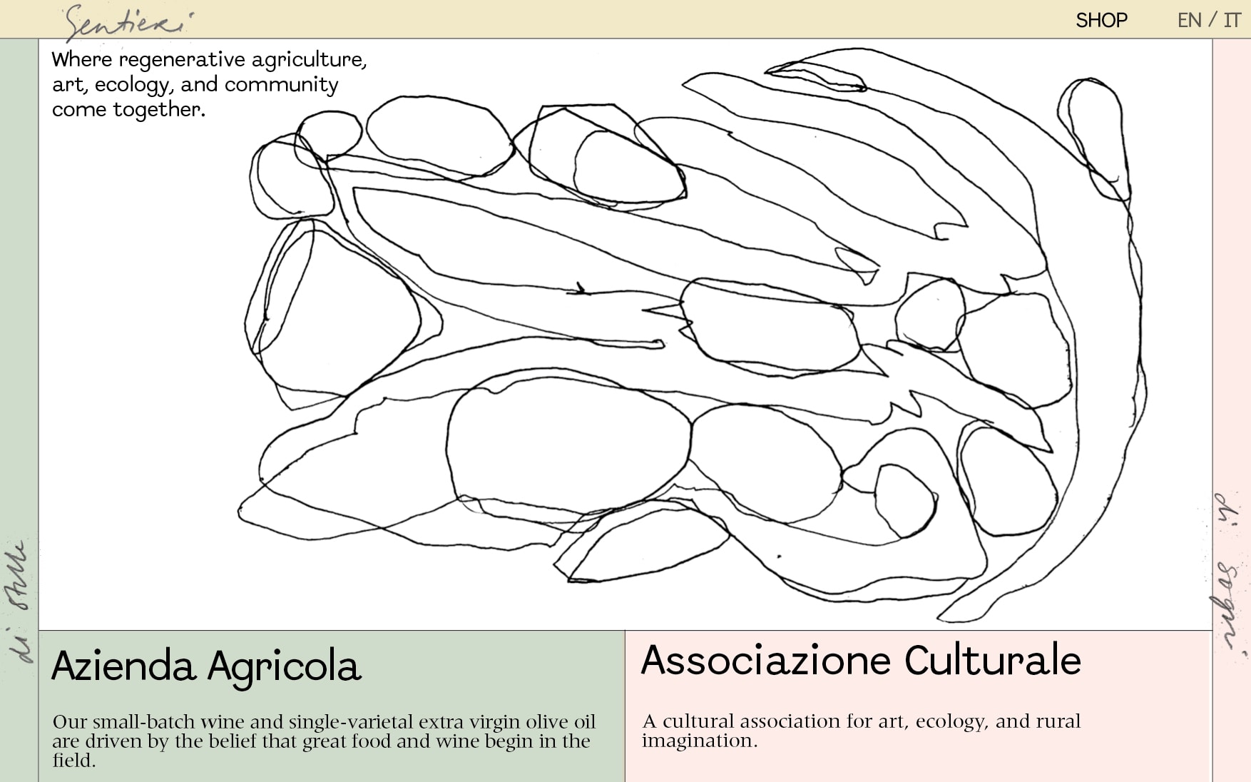 A design template for the landing page. A cream header with a handwritten Sentieri logo, a pale green bar at the left and a pale pink one at the right. A large continuous line drawing of rounded shapes fills the page, with the line Where regenerative agriculture, art, ecology, and community come together. Below it, a green box titled Azienda Agricola and a pink box titled Associazione Culturale.