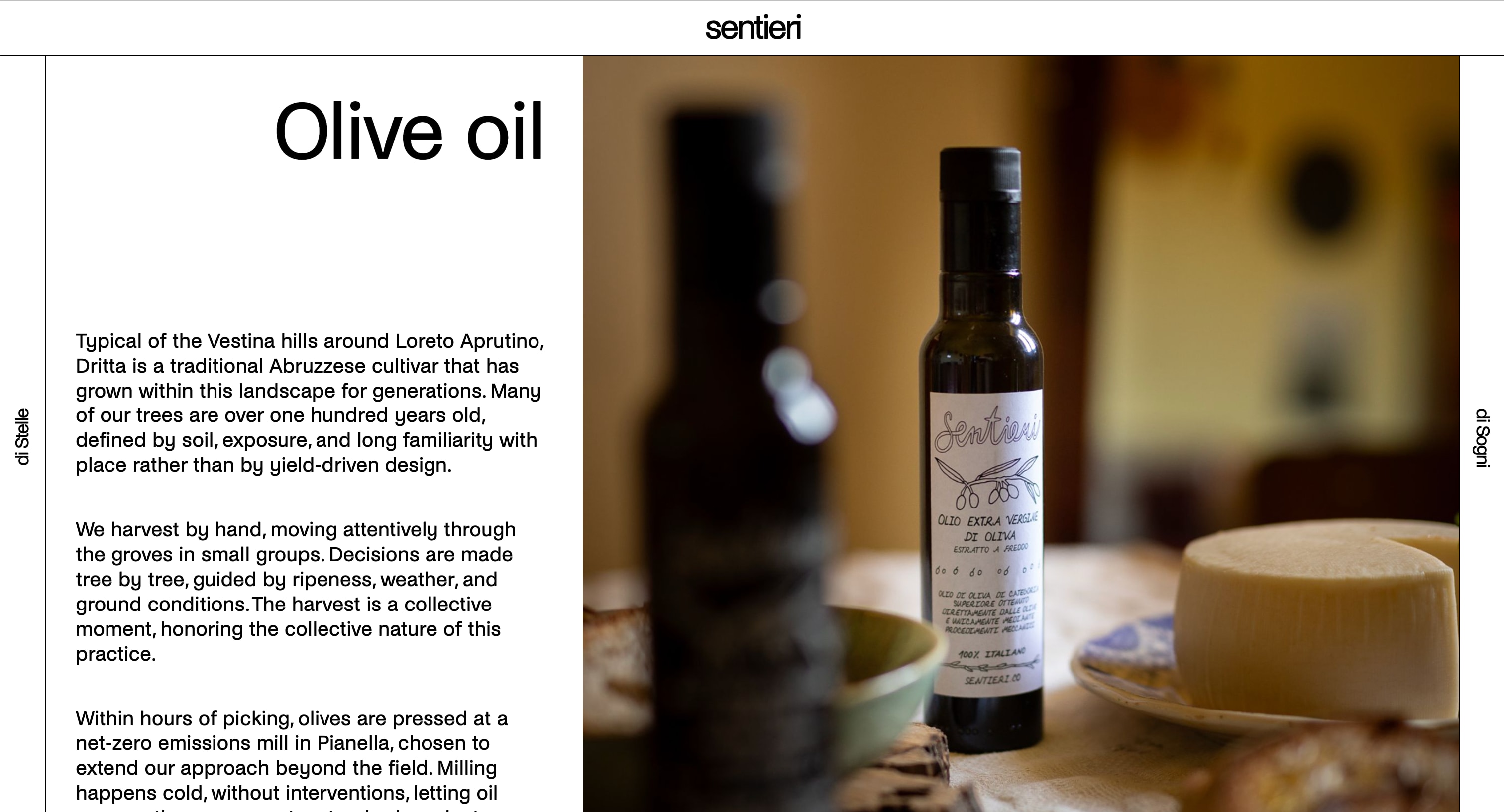 The Olive Oil page of sentieri.co on a laptop. A white page with a thin black header carrying the word sentieri. At the far left a narrow vertical bar reads di Stelle, at the far right one reads di Sogni. Between them, a text pane with the large title Olive oil and three paragraphs about the Dritta olive, the harvest by hand and the mill, and a wider pane filled by a photograph of a bottle of Sentieri extra virgin olive oil on a table beside a round cheese.